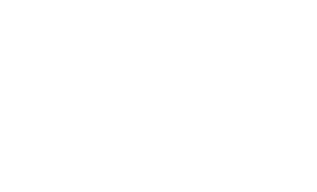 Premium Club logo